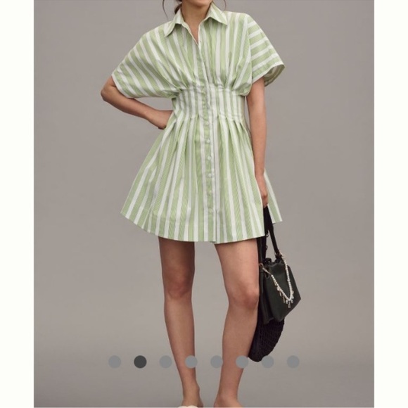 Exquise Dresses & Skirts - Anthropologie Exquise Tobbie Button Front Pleated Waist Mini Dress medium